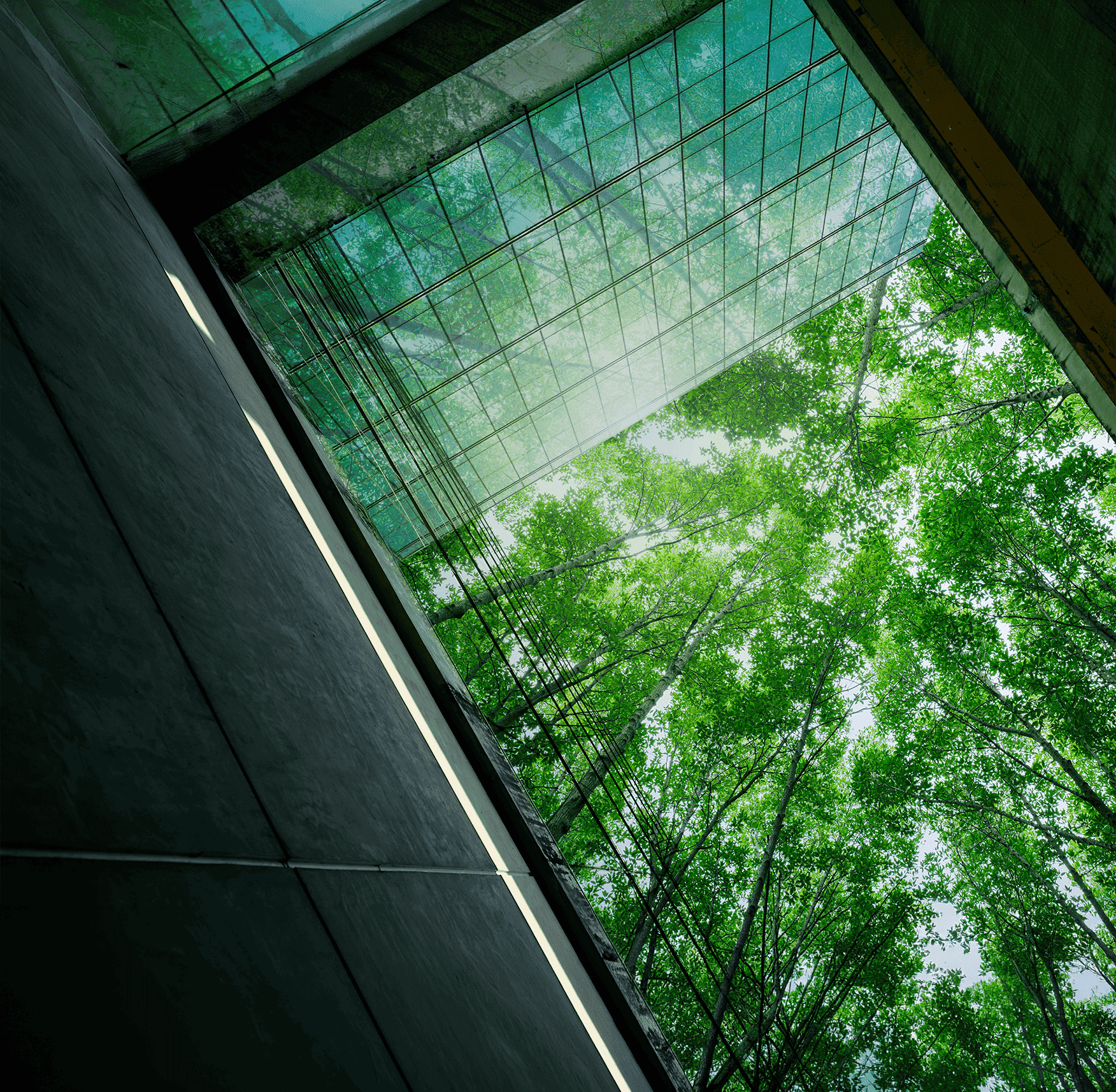 Nature background